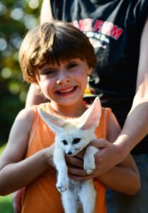 A young, smiling boy holding a fennec fox.