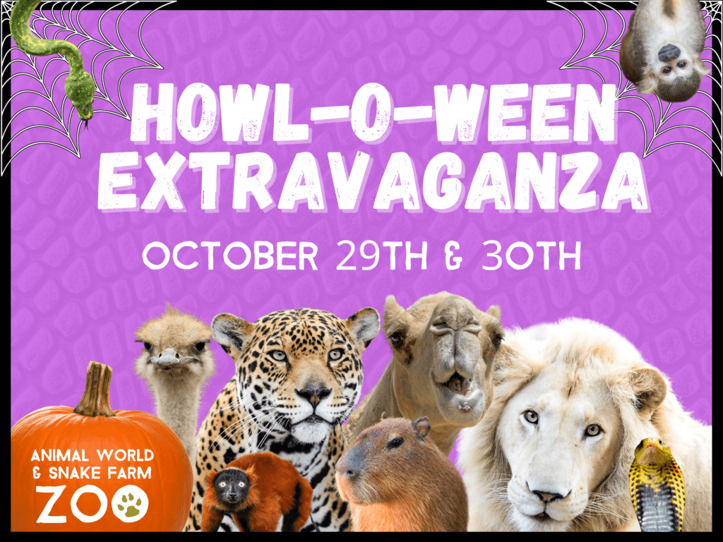 Halloween Event 2022 at Animal World and Snake Farm Zoo