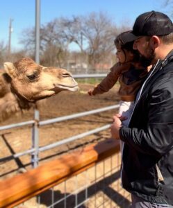 A father and daughter feeding Kamilla, one of our dromedary camels.