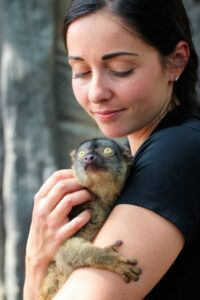 One of our keepers holding Tilly the common brown lemur.