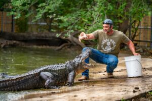 A photo taken during one of the zoo's weekly summer croc shows.