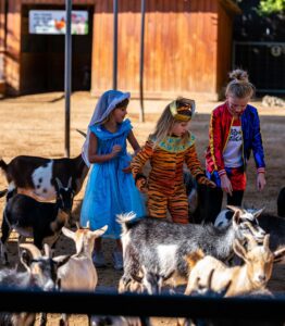 Three young zoo guests visiting the petting zoo during our Halloween event.