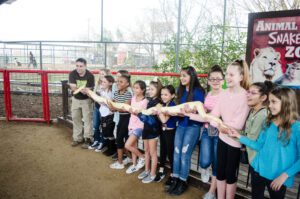 a group of kids holds a large snake during an animal encounter 