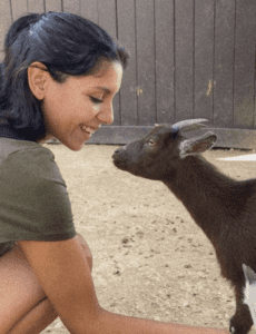 A young woman posing for a photo with a baby goat.