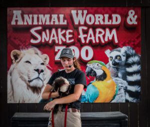 A keeper talk featuring one of our striped skunks.