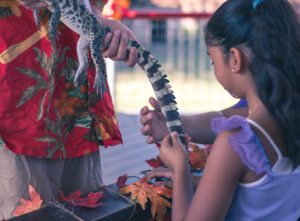 A girl touching a lizard's tail during an animal show at Animal World and Snake Farm Zoo's Halloween event