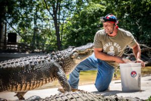 A photo from one of our summer Croc Shows.