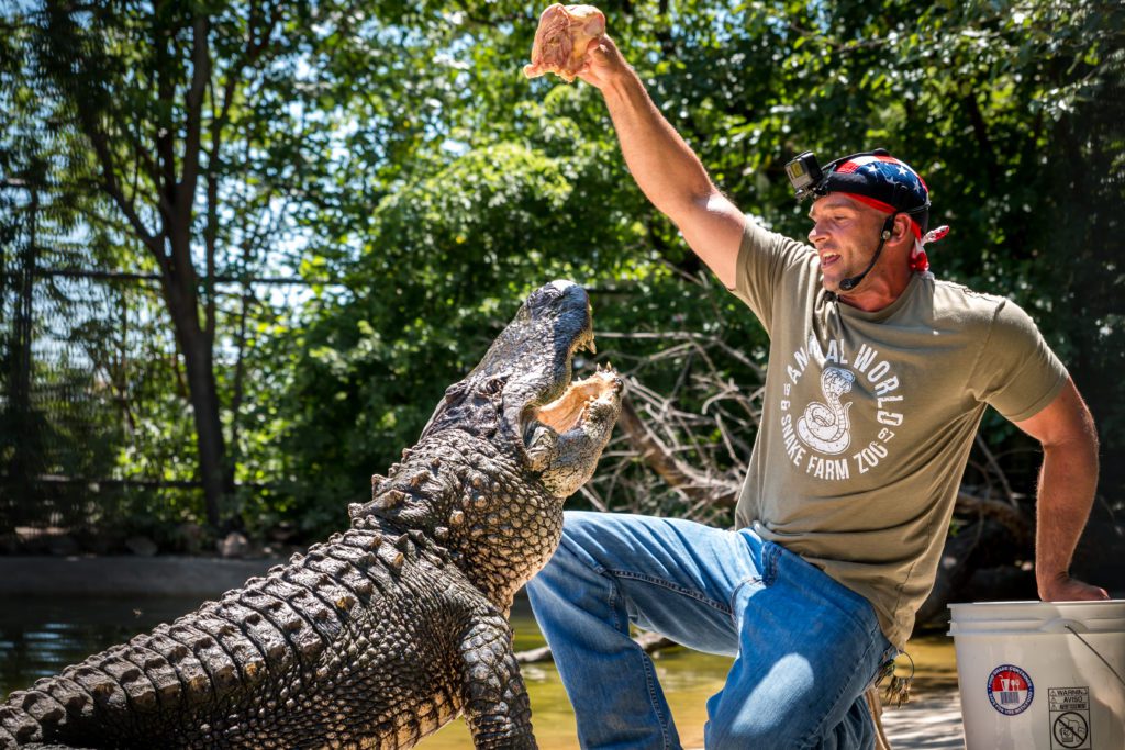 Jarrod feeding a crocodilian during our weekly summer Croc Shows.