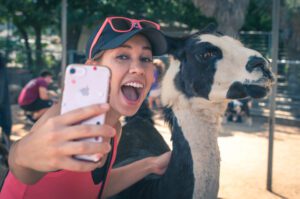 A zoo guest posing for a selfie with one of our petting zoo animals.