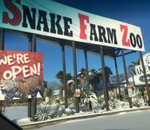 Animal World Snake Farm Zoo Zoo Home Page