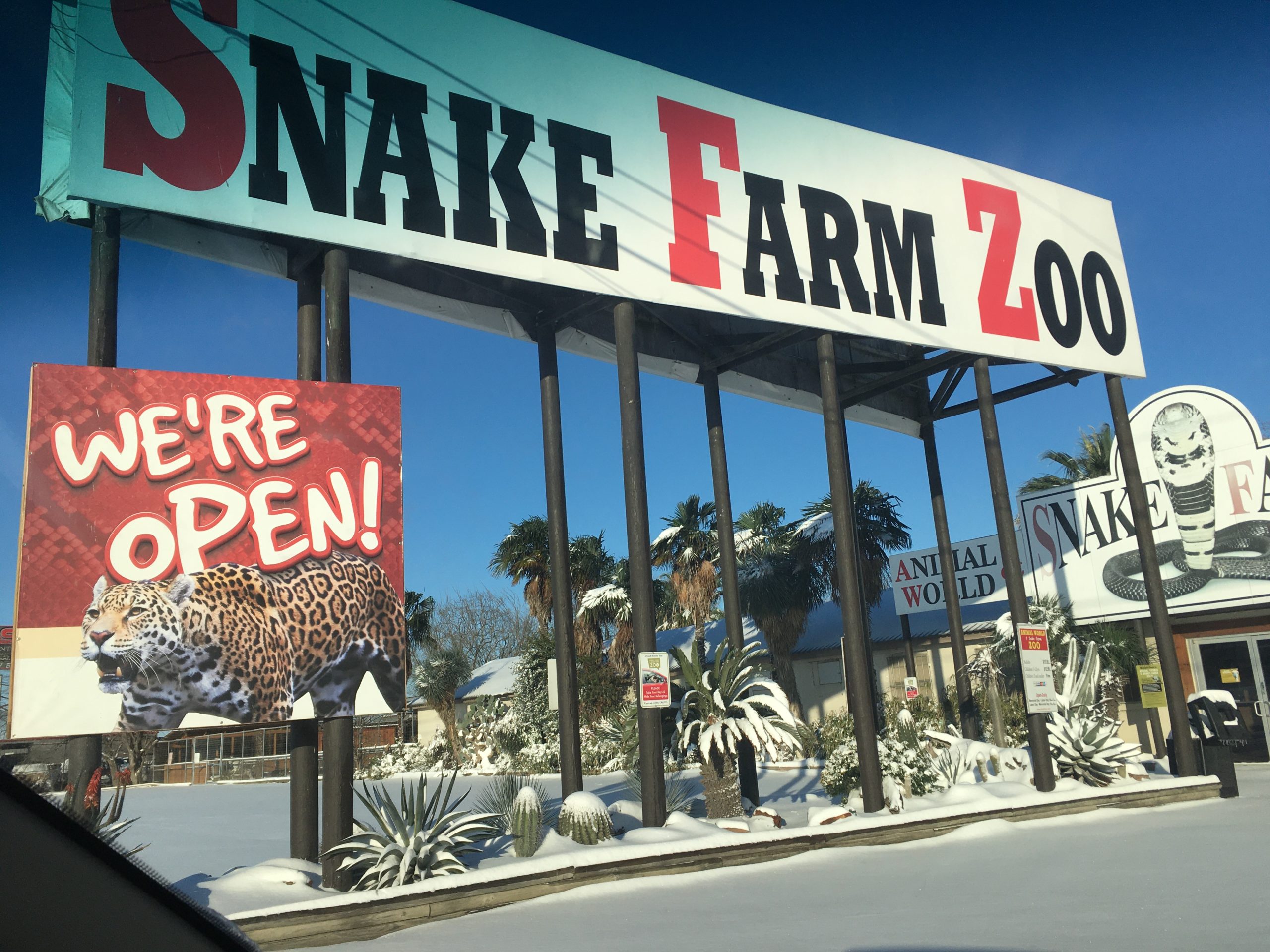 Winter Storm Hits Animal World & Snake Farm Zoo