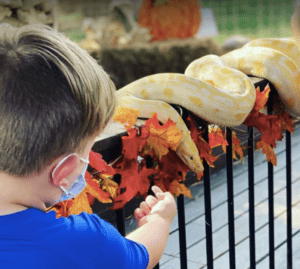 Fall Halloween Event at Animal World and Snake Farm Zoo