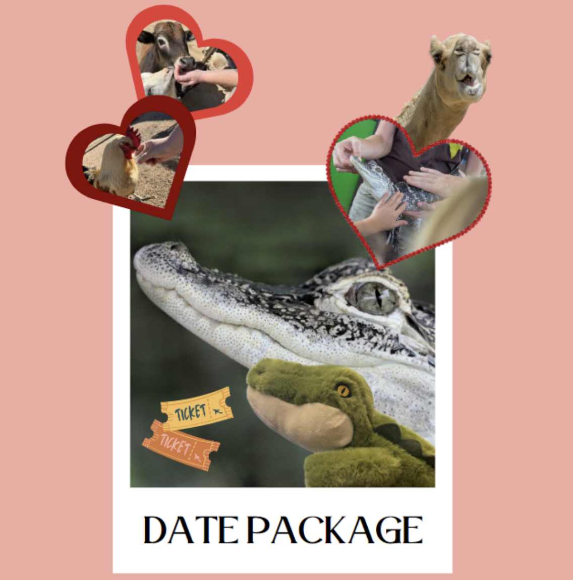 Capy Valentines Day 25 Off Valentine’s Day Deal