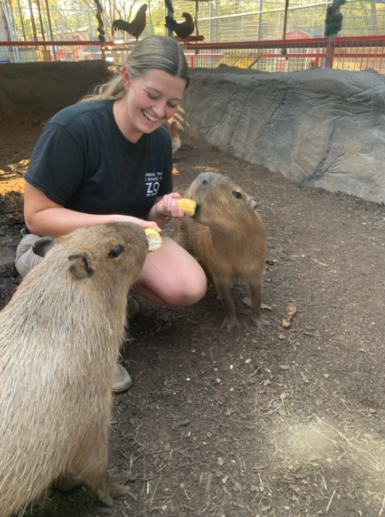 smart capybara