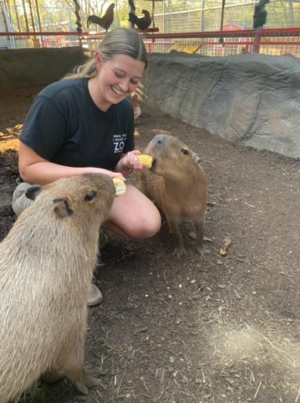 Hang Out With Capybara Babies at the Snake Farm!