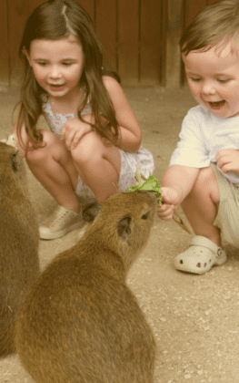 Private Animal Encounters