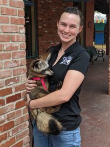 Casey, one of our Mammal Keepers, and Otto the bat-eared fox.