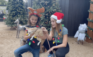 Two Zoo guests interacting with a fennec fox during a holiday animal encounter